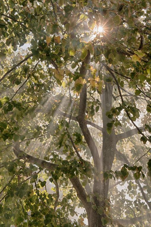 Podere La Ciabatta Casole dʼElsa Exteriör bild